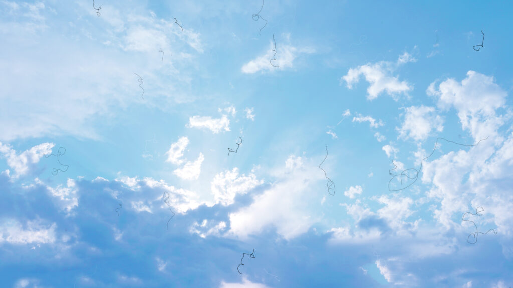 Myodesopsia (Eye Floaters) looking at the Sky. smal